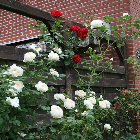 Bed & Breakfast Sara's Rosenhof 3*